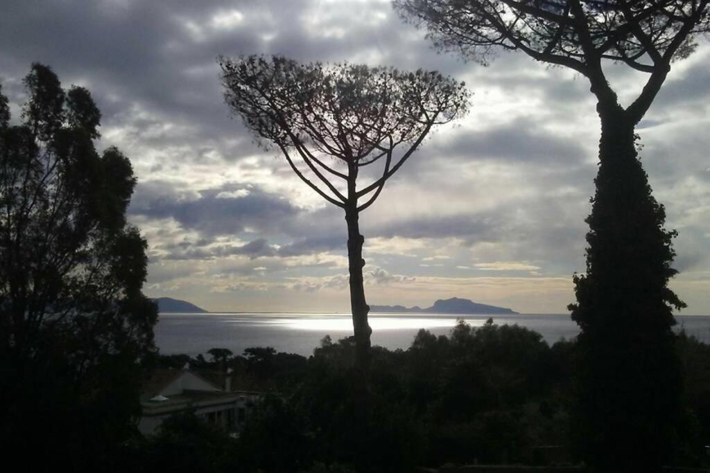Napoli Centro Storico Un Passo Da San Gennaro Apartment Bagian luar foto